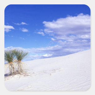 White Sands NM, New Mexico, Verenigde Staten Vierkante Sticker