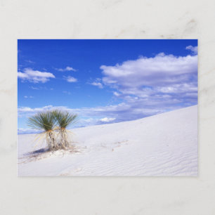 White Sands NM, New Mexico, VS Briefkaart
