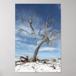 White Sands Zion National Park Poster