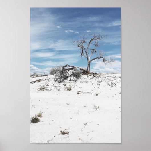 White Sands Zion National Park Poster (Voorkant)