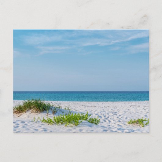 White Sandy Beach Florida Coastline Briefkaart (Voorkant)