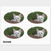 White Savannah Cat Oval Sticker (Vel)