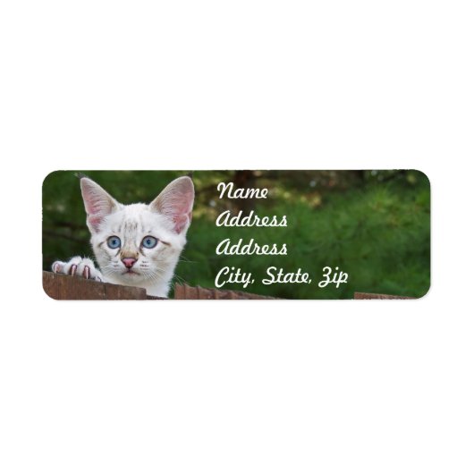 White Savannah Cat Return Address Sticker (Voorkant)