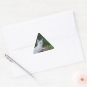 White Savannah Cat Triangle Sticker (Envelop)