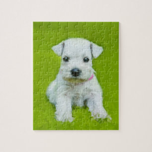 White Schnauzer Puppy Legpuzzel