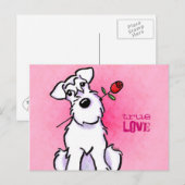 White Schnauzer Roos Love Message Custom Briefkaart (Voorkant / Achterkant)