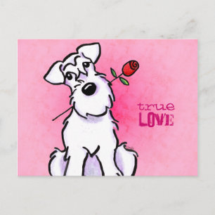 White Schnauzer Roos Love Message Custom Briefkaart