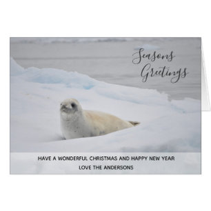 White Seal Arctic Winter Snow Custom
