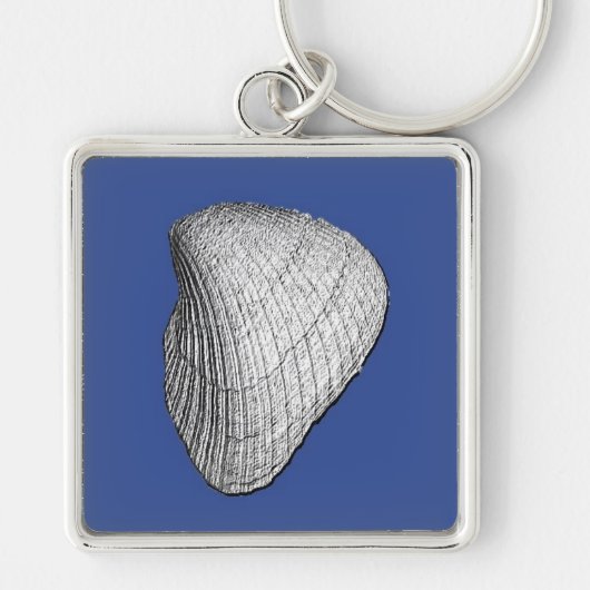 White Seashell Sleutelhanger (Voorkant)