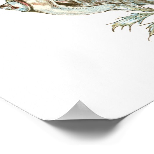 White Shell Poster (Hoek)