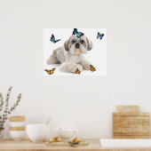 White Shih Tzu Dog Poster (Keuken)