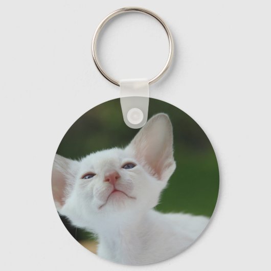 White Siamese kitten Sleutelhanger (Voorkant)