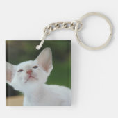 White Siamese kitten Sleutelhanger (Achterkant)