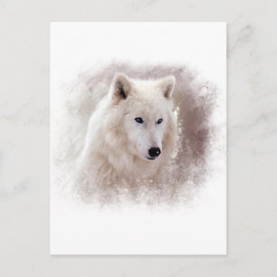 WHITE SIBERIAN HUSKY. BRIEFKAART