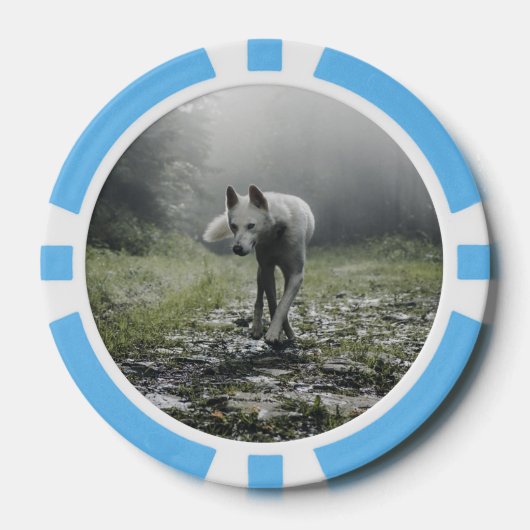 White Siberian Husky Poker Chips (Voorkant)