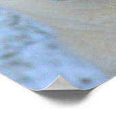 White Siberian Husky poster (Hoek)