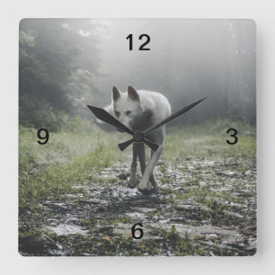 White Siberian Husky Vierkante Klok
