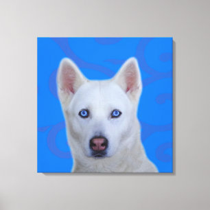 White Siberian Husky Wrapped Canvas Afdruk