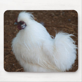 White Silkie Chicken Muismat