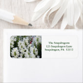 White Snapdragons Return Address Label (Insitu)