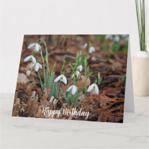 White Snow Drop Viering Verjaardag