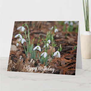 White Snow Drop Viering Verjaardag Kaart