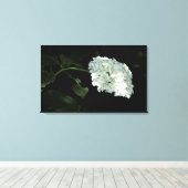 White Snowball Hydrangea - Annabelle Canvas Afdruk (Insitu (Houten vloer))