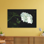 White Snowball Hydrangea - Annabelle Canvas Afdruk (Insitu (Woonkamer))