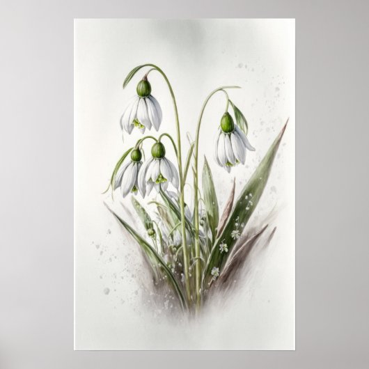 White Snowdrop Flowers Art Print Poster (Devant)