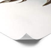 White Snowdrop Flowers Art Print Poster (Coin)