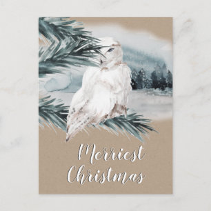 White Snowy Owl Blue Spruce Branch Woodland Scene Briefkaart
