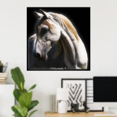 White Spirit Stallion Equine Poster (Bureau à domicile)