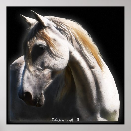 White Spirit Stallion Equine Poster (Devant)
