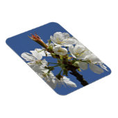 White Spring Bloom Magneet (Rechterzijde)