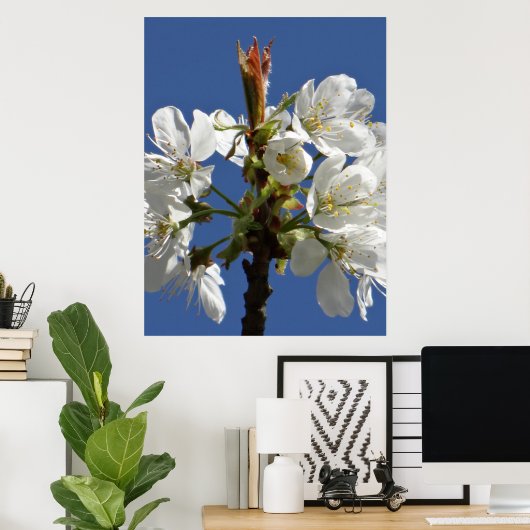 White Spring Bloom Poster (Thuiskantoor)