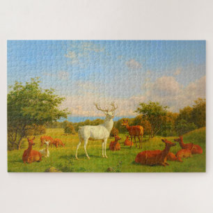 White Stag Deer in Open Field Natuur Wildlife Legpuzzel