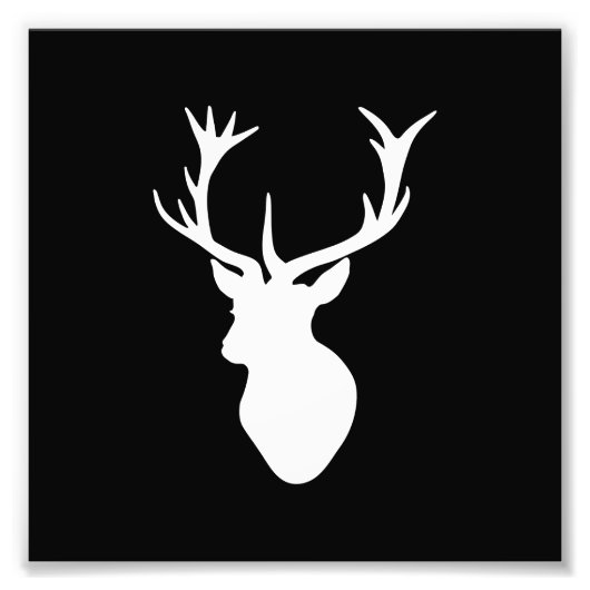 White Stag Head Foto Afdruk (Voorkant)