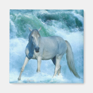 White Stallion & Ocean Waves Equine Art Magnet Magneet