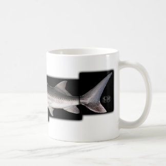 White Sturgeon - Acipenser transmontanus Koffiemok
