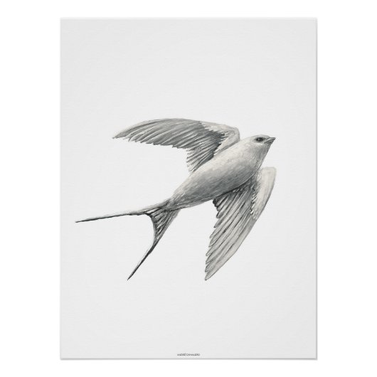 White Swallow Perfect Poster (Voorkant)
