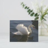 White Swan Briefkaart (Staand voorkant)