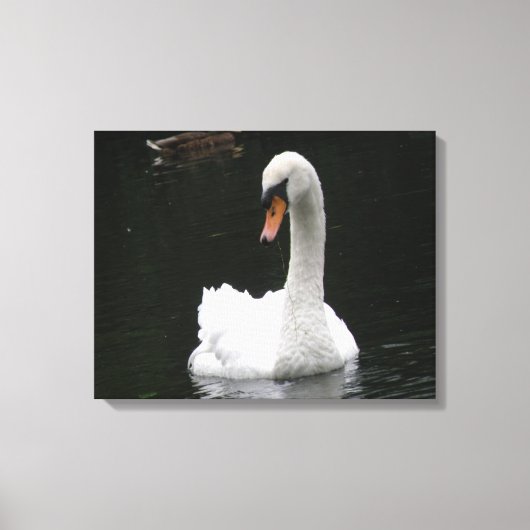 White Swan Canvas afdrukken (Voorkant)