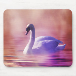 White Swan drijft op een slecht meer Muismat