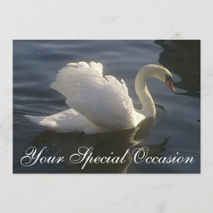 White Swan Invitation Kaart