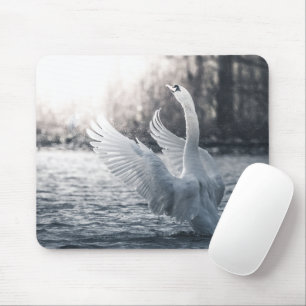 White Swan Natuur Foto Muismat