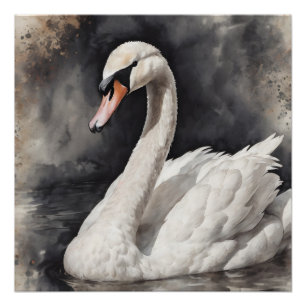White Swan no 67 Glanzend Poster Perfect Poster