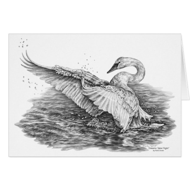 White Swan on Water Drawing by Kelli Swan (Voorkant Horizontaal)