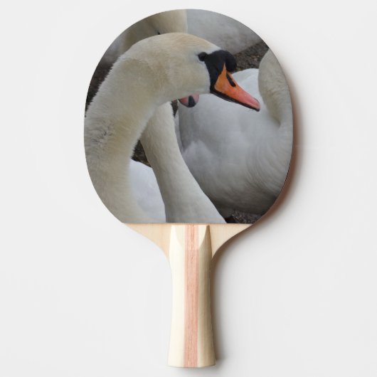 White Swan Ping Pong Paddle, Red Rubber Back Tafeltennisbatje (Voorkant)