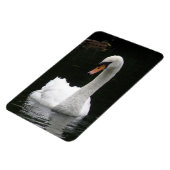 White Swan Premium Magnet Magneet (Linkerzijde)