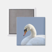 White Swan Refkoelkast Magnet Magneet (Voorkant / Achterkant)